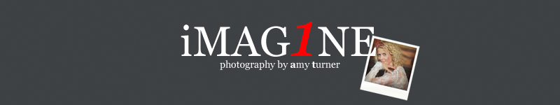 wedding photographer imag1ne logo